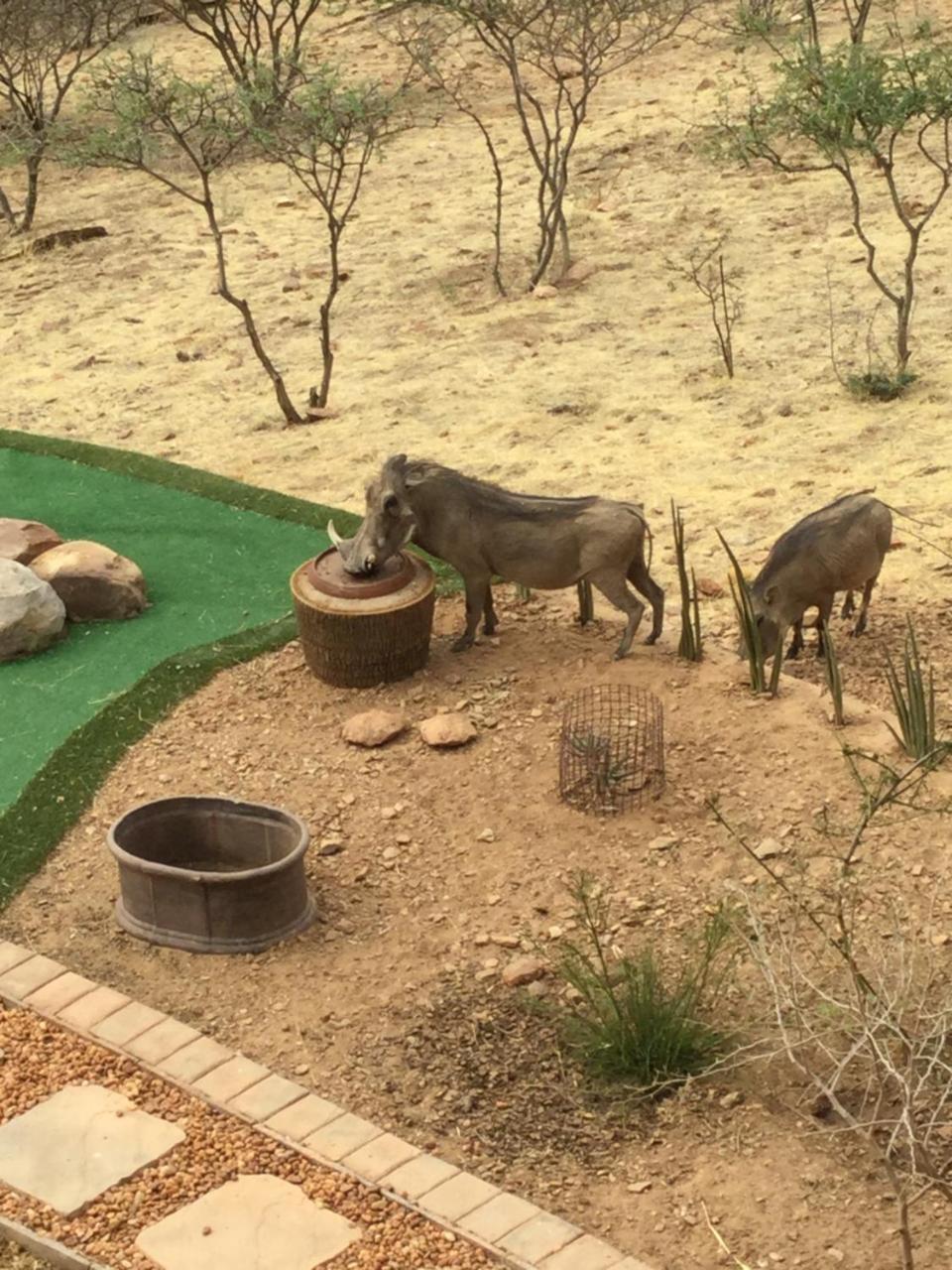 Windhoek Rural Self Catering Voigtland Exterior photo